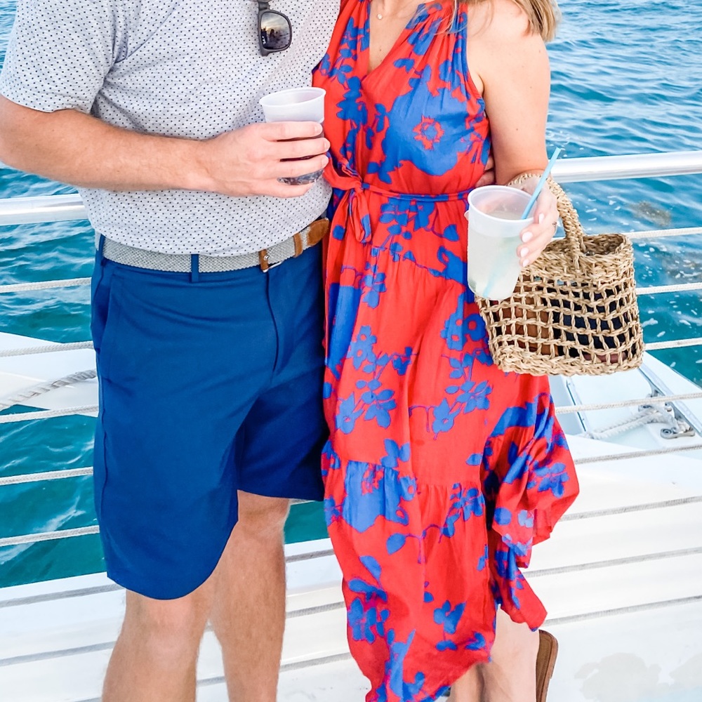 Velvet by graham and Spencer dress